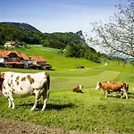 Schusterbauer Koppl