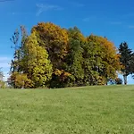 Schusterbauer