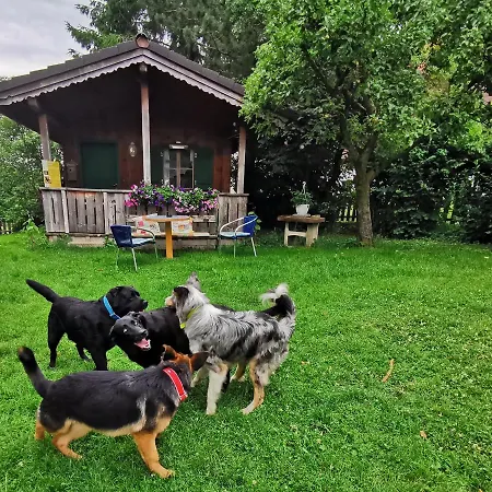Schusterbauer Farm stay *