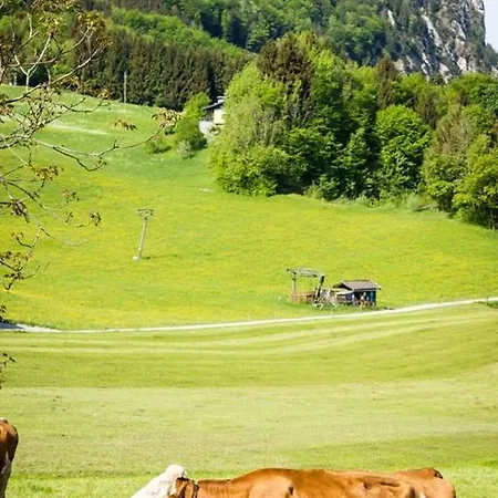 Schusterbauer Κατάλυμα σε φάρμα