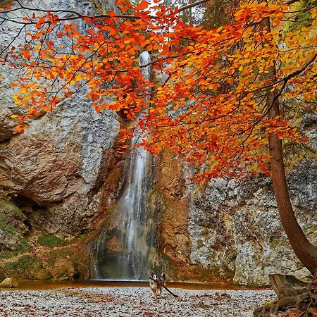 Schusterbauer Farm stay Koppl