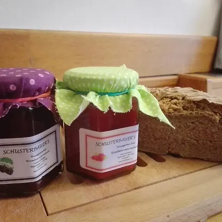 Schusterbauer Κατάλυμα σε φάρμα *