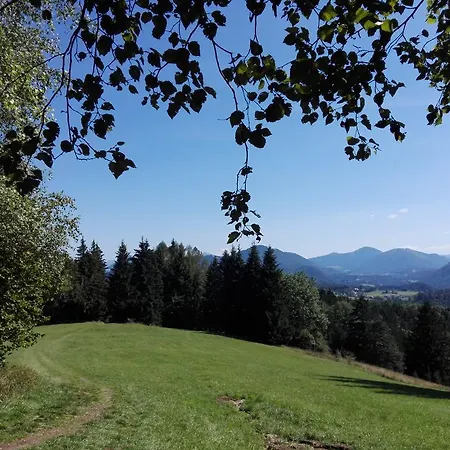 Schusterbauer Farm stay *