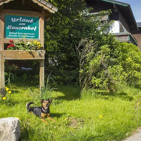 Schusterbauer Farm stay