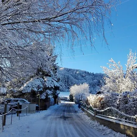 Schusterbauer Farm stay *