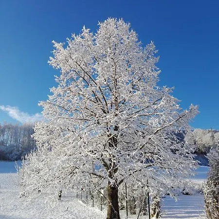 Κατάλυμα σε φάρμα Schusterbauer Koppl