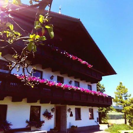 Farm stay Schusterbauer