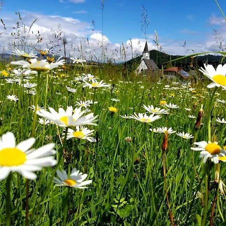 Farm stay Schusterbauer *