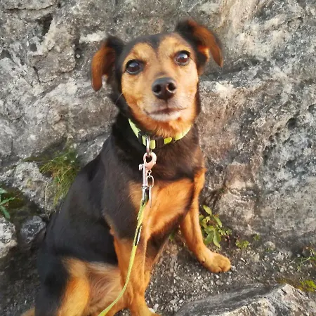 Farm stay Schusterbauer