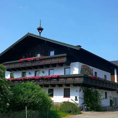 Schusterbauer *