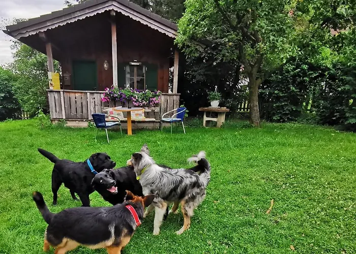 Schusterbauer Farma *