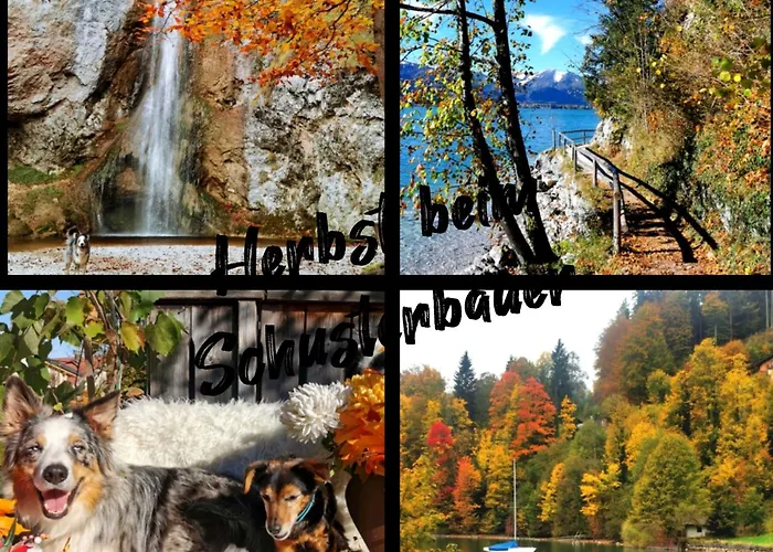 Schusterbauer Bauernhof *