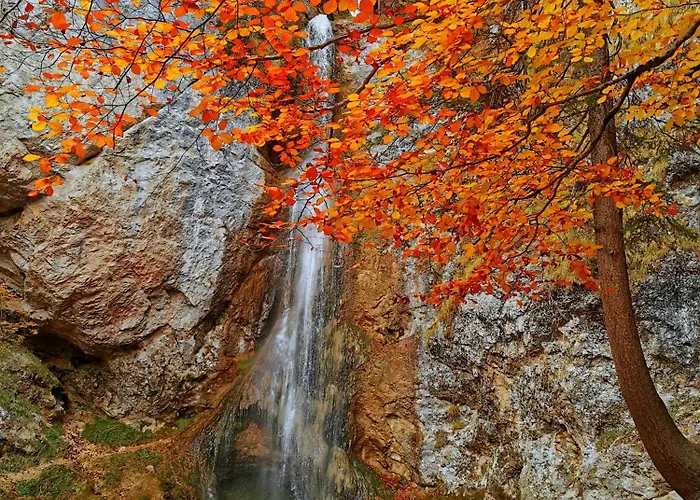 Schusterbauer Farma Koppl