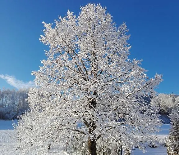 Farma Schusterbauer Koppl