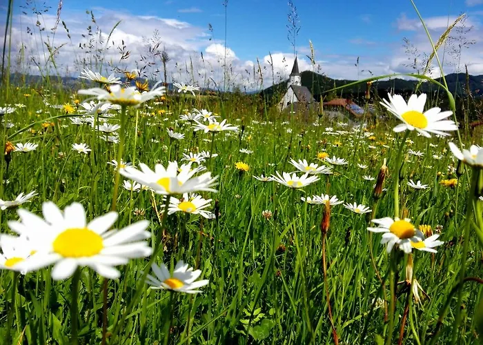 Bauernhof Schusterbauer *