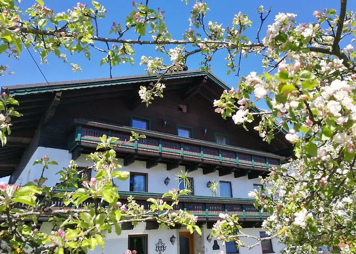 Schusterbauer